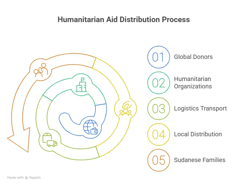 How Donations Translate into Real Impact