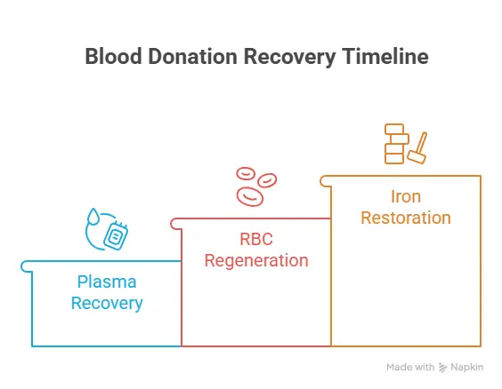 Iron Levels and Repeated Donations