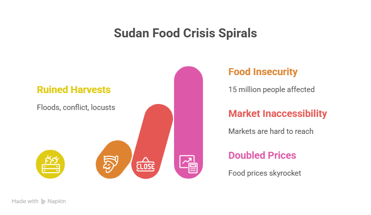 Hunger Is Not Just a Crisis — It's an Emergency