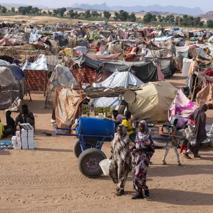 the Surviving infants